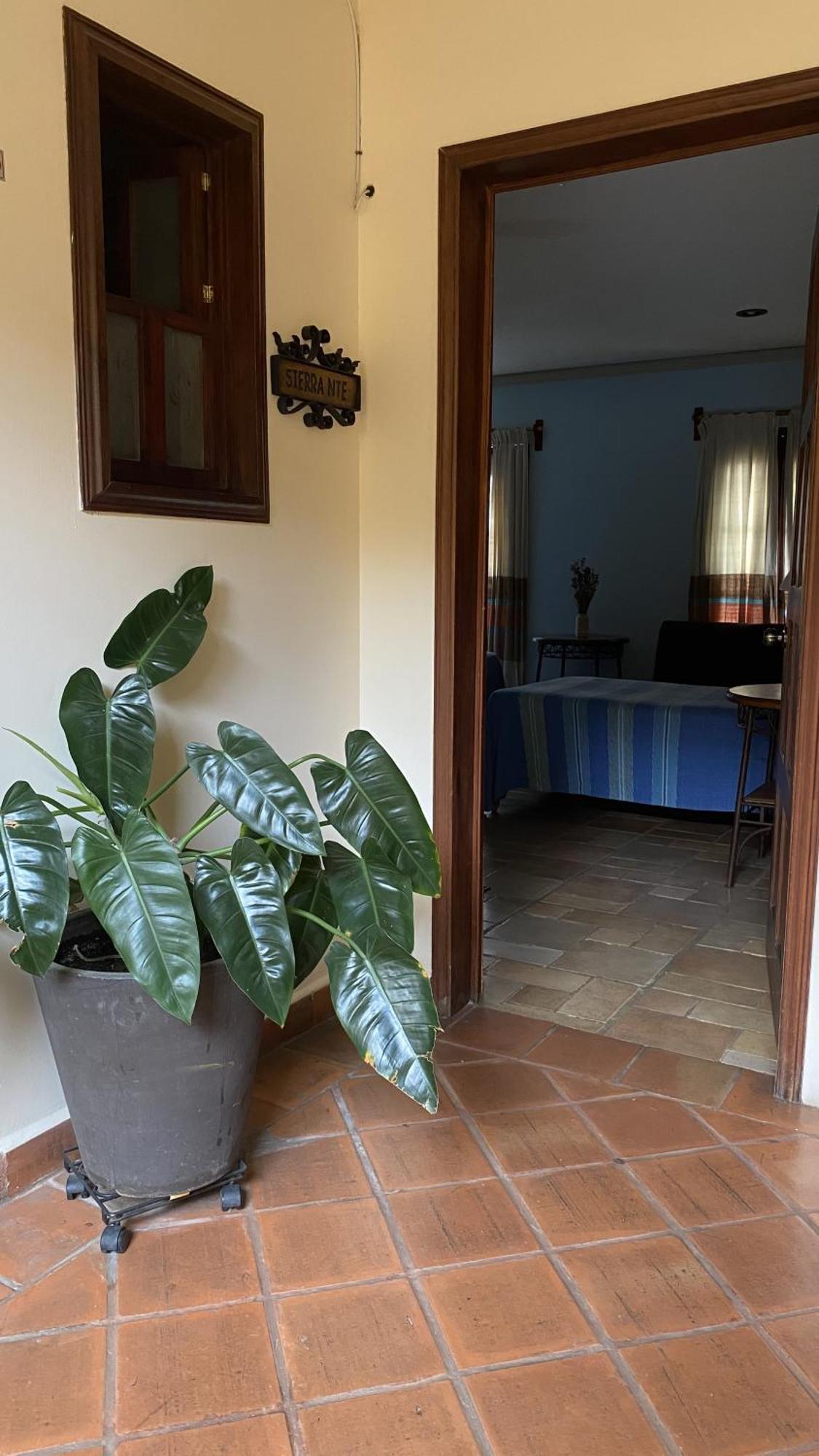 Posada Regional Oaxaca Ngoại thất bức ảnh